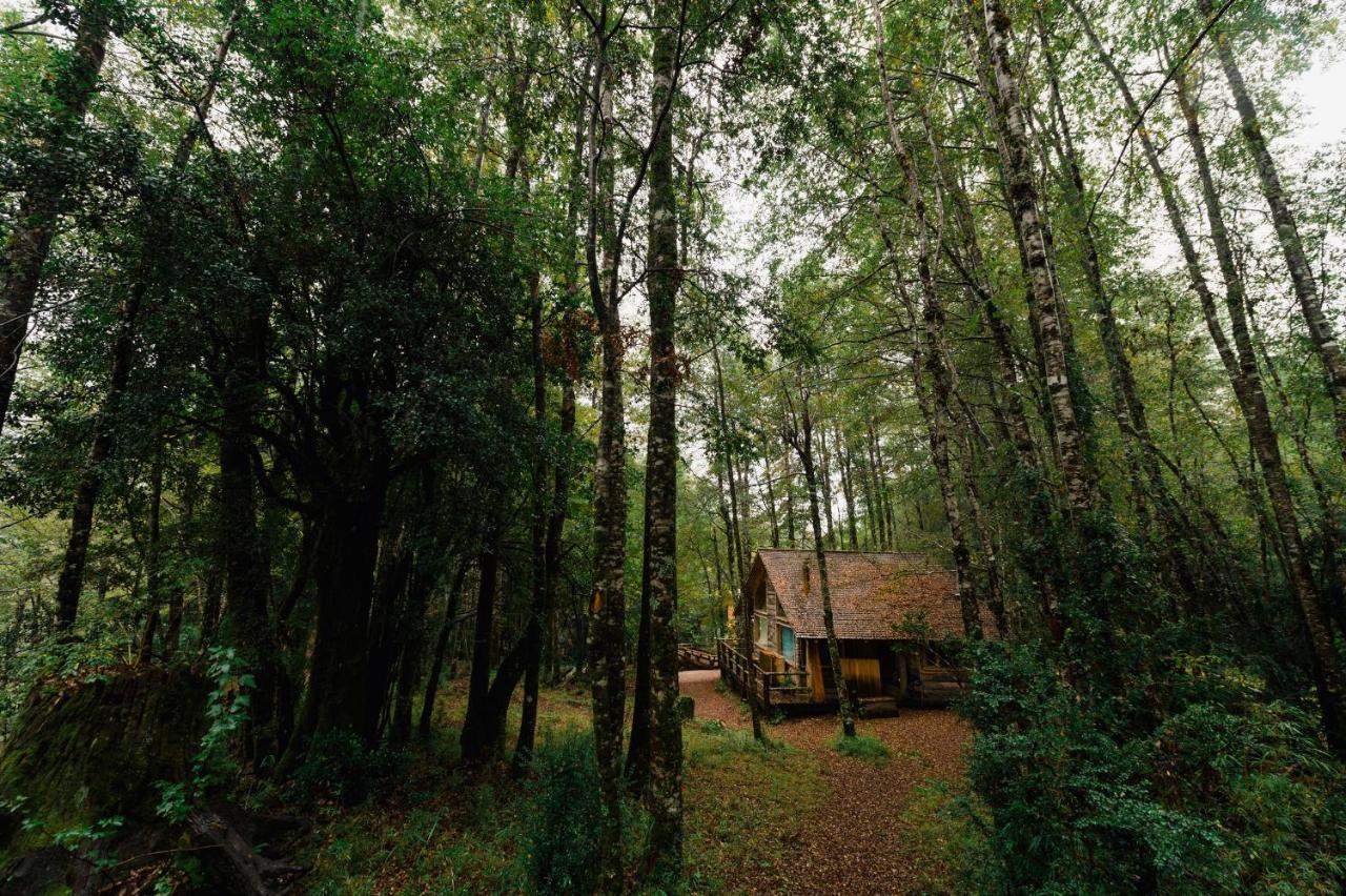 Huilo Huilo Cabanas Del Bosque Puerto Fuy Δωμάτιο φωτογραφία