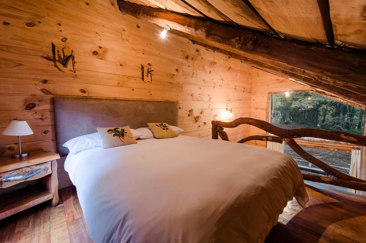 Huilo Huilo Cabanas Del Bosque Puerto Fuy Δωμάτιο φωτογραφία